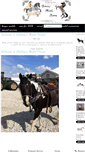 Mobile Screenshot of chelseasmodelhorses.com